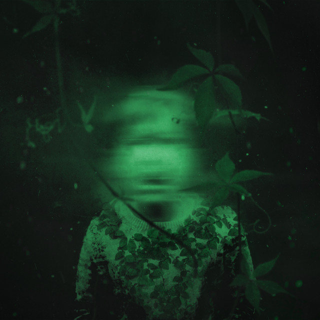 Grapevine cover art