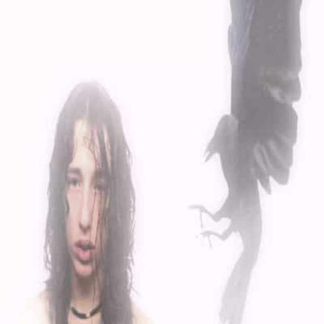 Crows cover art