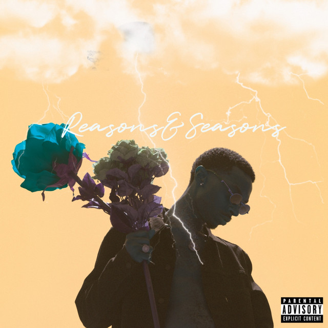 Reasons & Seasons cover art
