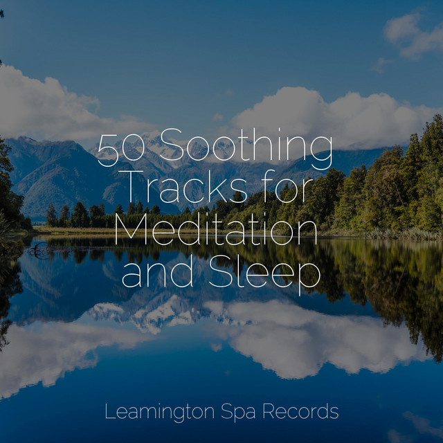 50 Soothing Tracks for Meditation and Sleep - Album by Rain Makers ...