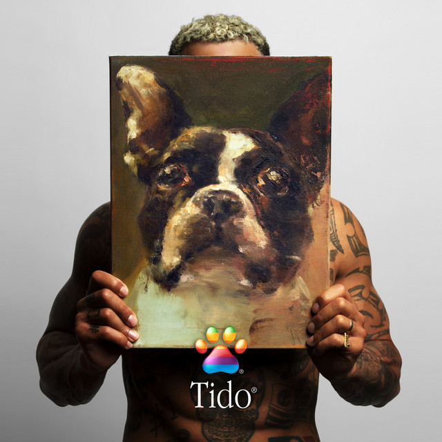 Tido cover art