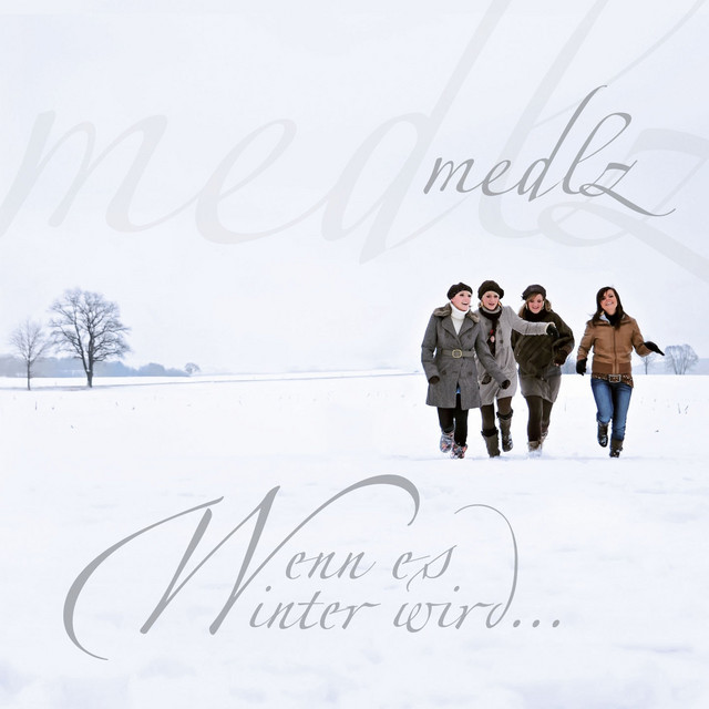 Wenn es Winter wird ... cover
