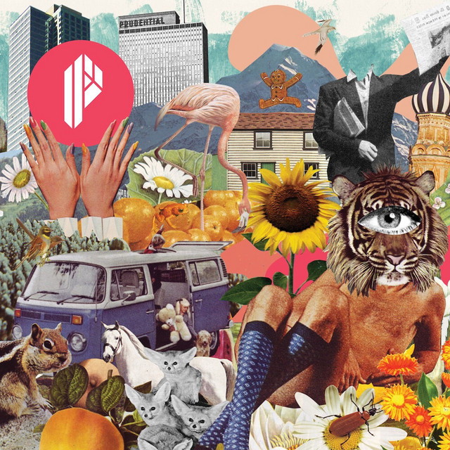 Fish Touch cover art