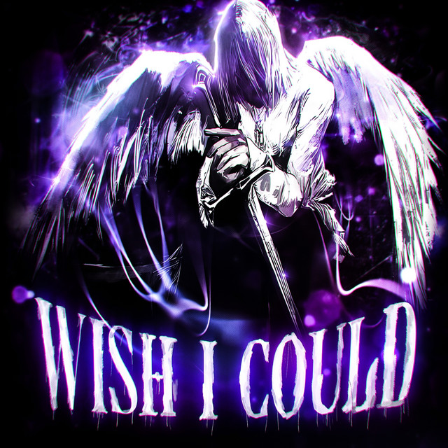 WISH I COULD