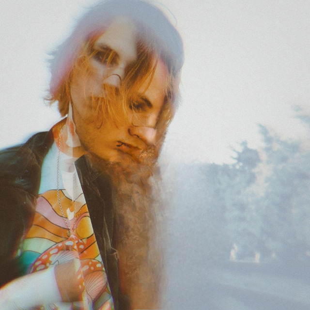 junkie cover art