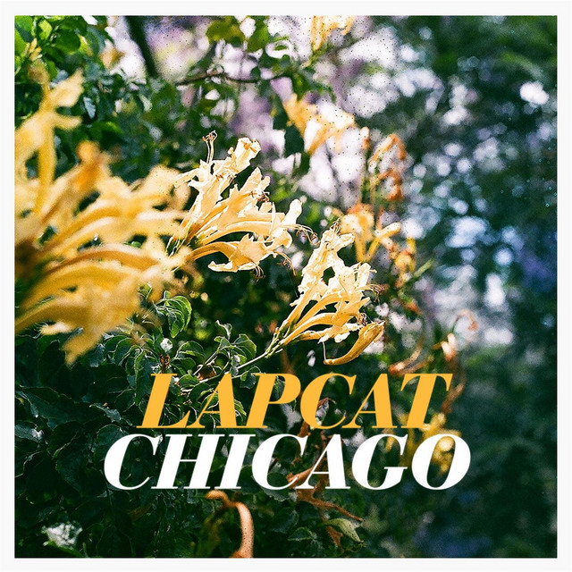 Chicago cover art