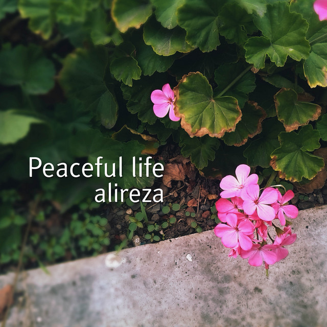 Peaceful life
