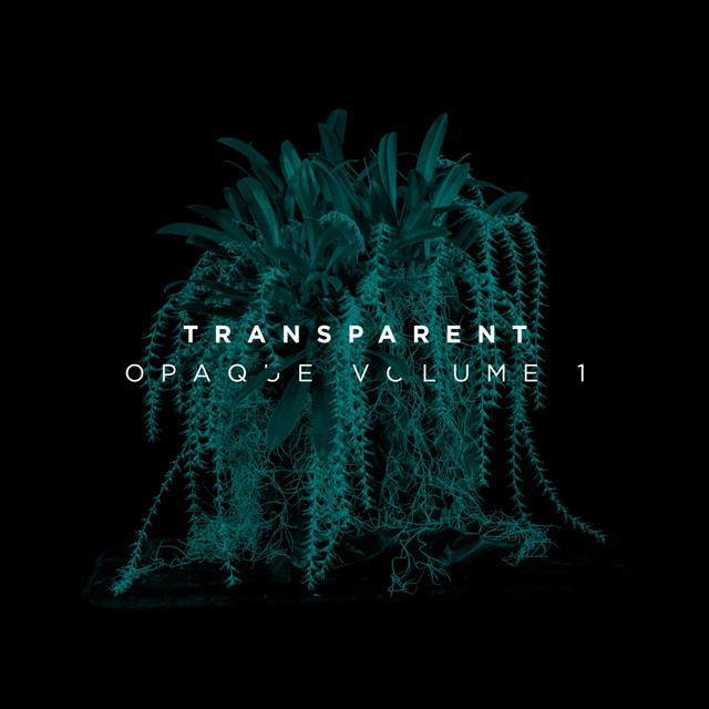 Trying cover art