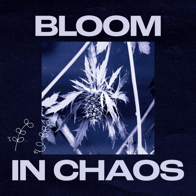 IMU album art