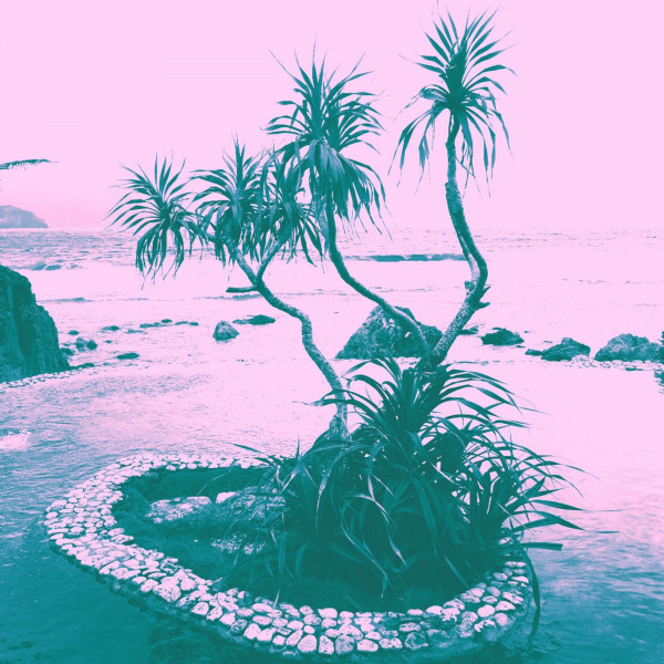 Music for Snowbirds - Bossanova cover art