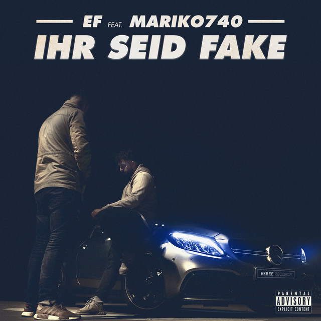 Ihr seid Fake cover