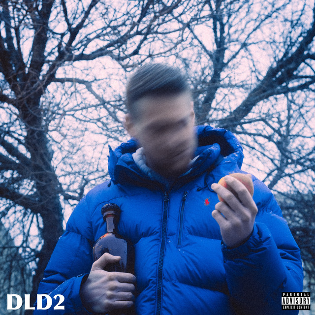 DLD2 cover art