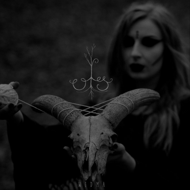 Widma cover art