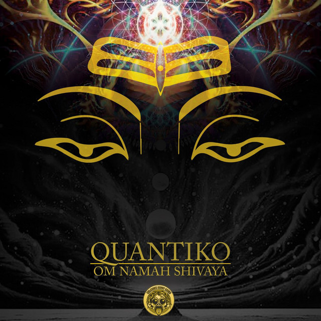 Om Namah Shivaya cover