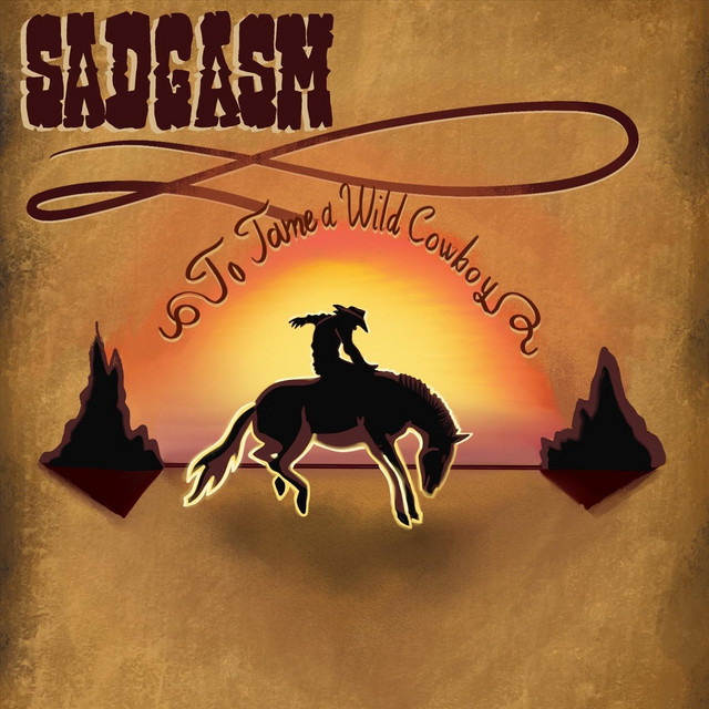 To Tame a Wild Cowboy cover art