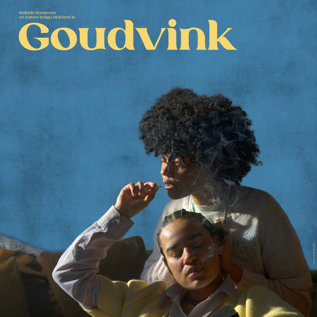 Goudvink (Official Motion Picture Soundtrack) cover