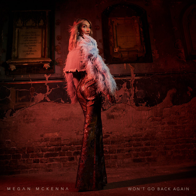 Capa de Won't Go Back Again - Megan McKenna