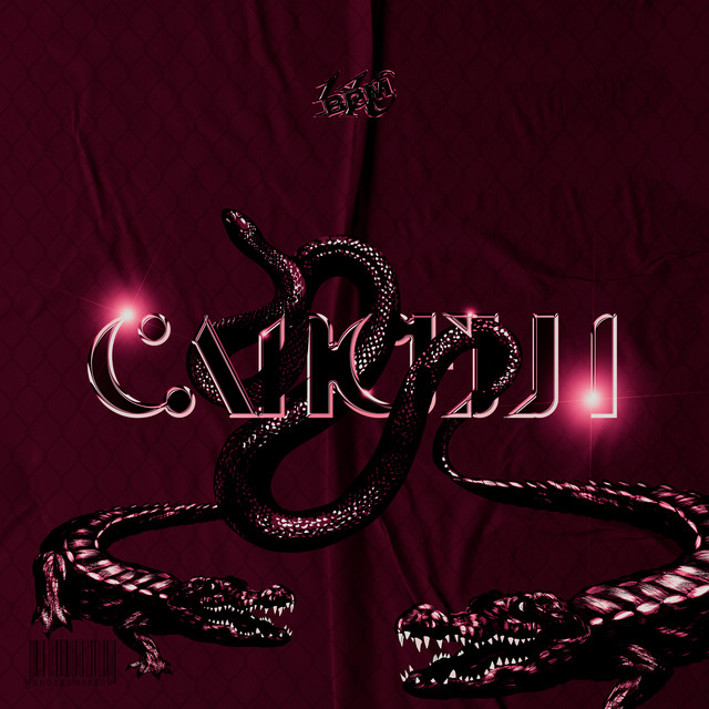 Cancelli cover art