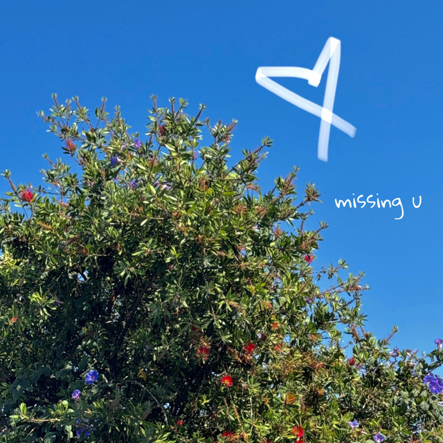 missing u cover art