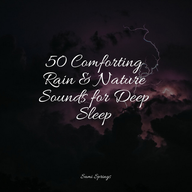 50 Comforting Rain & Nature Sounds for Deep Sleep - Album by Shakuhachi ...