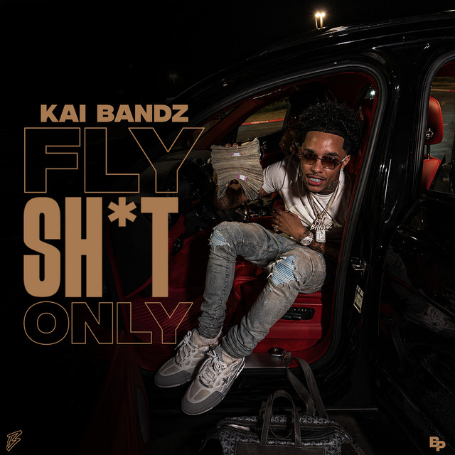 Fly Shit Only cover art