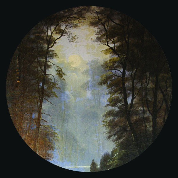 Omslag för Forest av Forest