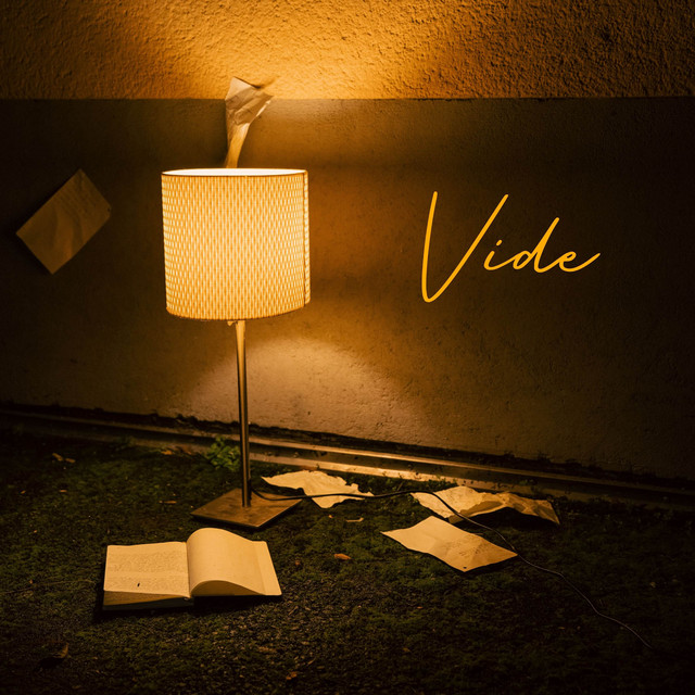 Vide cover art