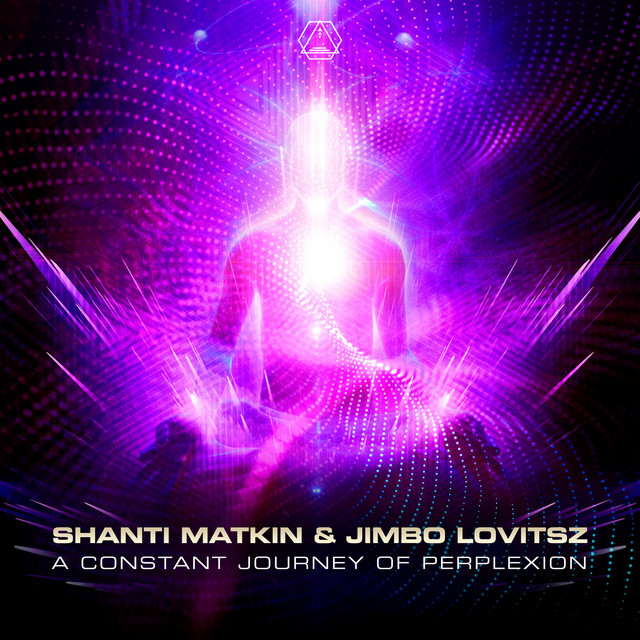 A Constant Journey of Perplexion cover art