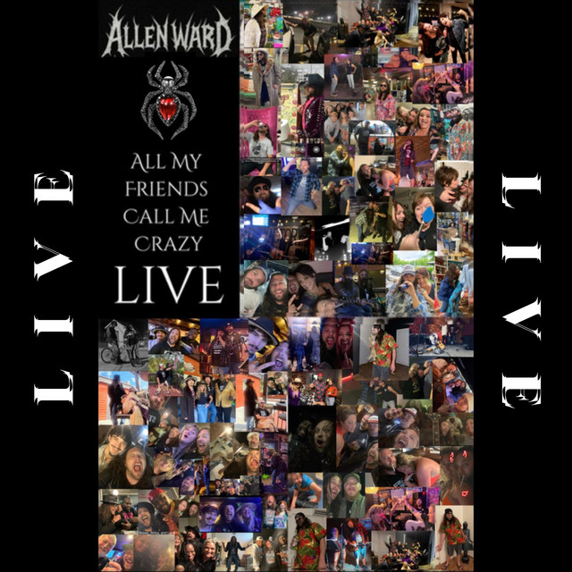 All My Friends Call Me Crazy : LIVE cover