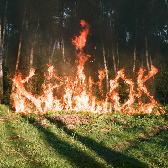 Жизнь и смерть на поляне cover art