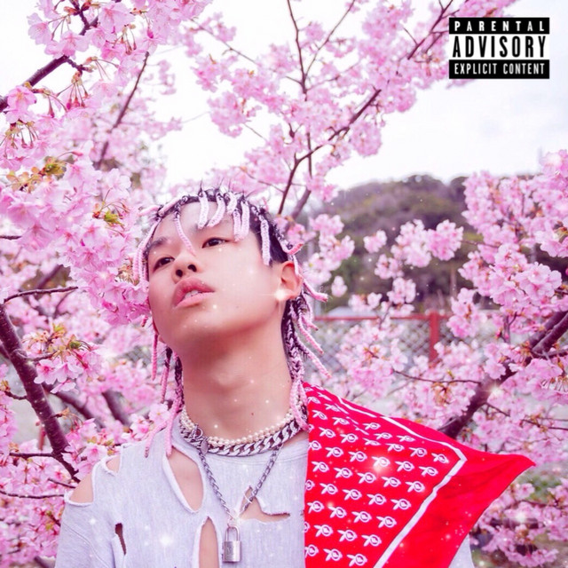 YOUNGTOFUBOY cover art