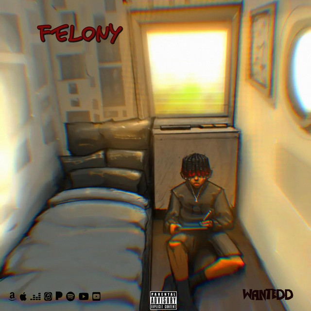 Felony cover art
