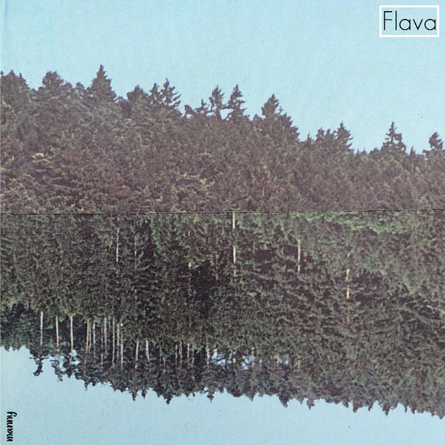 Flava cover art