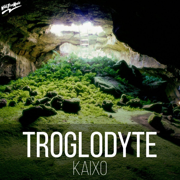 Troglodyte