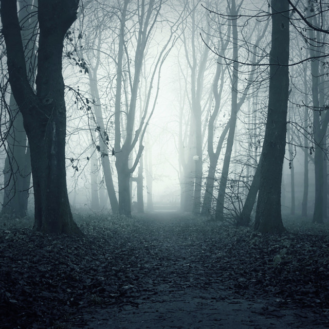 Обкладинка: Shadows — YBK Løver