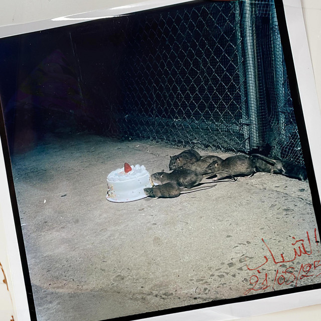 Chabab cover art