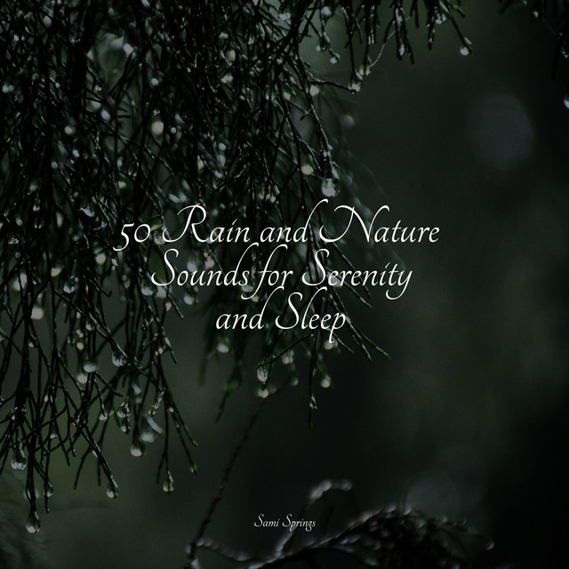50 Rain and Nature Sounds for Serenity and Sleep - Album by Meditation ...