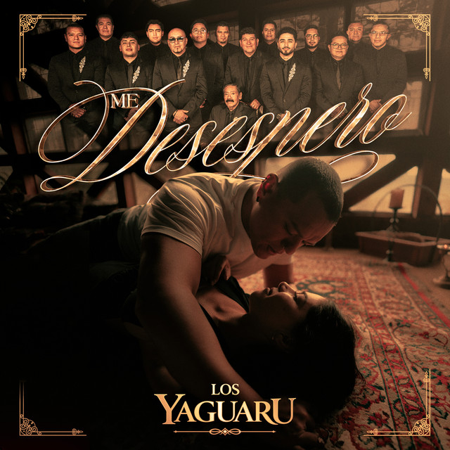 Me Desespero album image