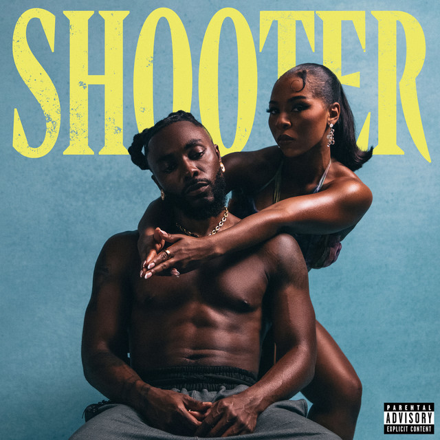 Shooter cover art