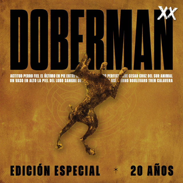 XX (Edición Especial 20 Años) album image