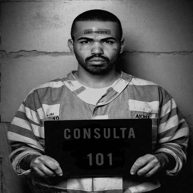 Consulta 101 cover art