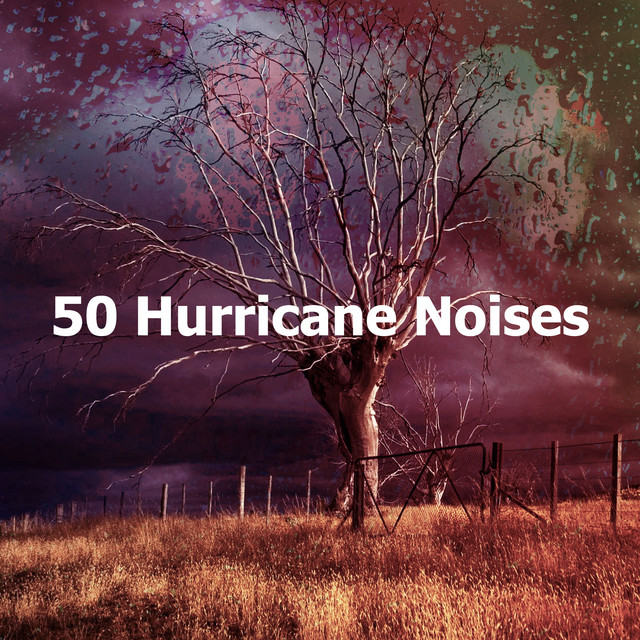 50 Hurricane Noises - Album by Rain Sounds for Relaxation | Spotify