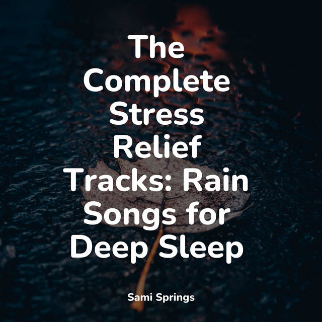 50 Relaxing Rain Drop Sounds - Album by Musica Para Dormir y Sonidos de ...