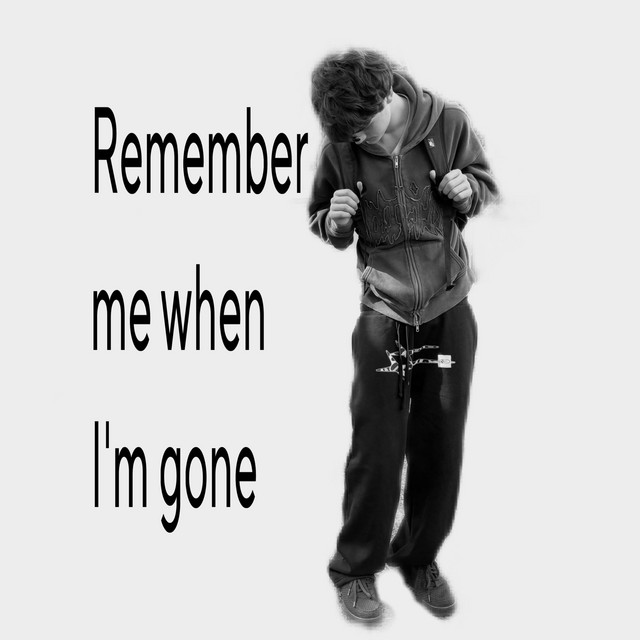 Remember me when im gone cover art