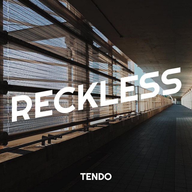 Reckless cover art