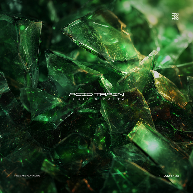 Acid Train album art