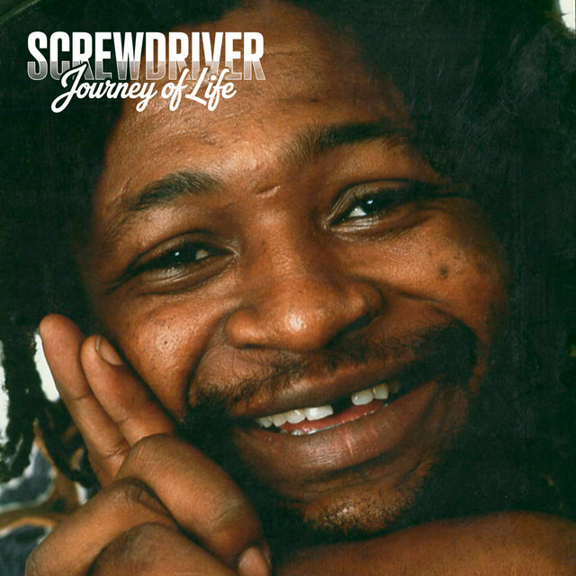 Journey of Life cover