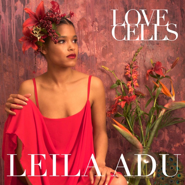 Leila Adu Photo