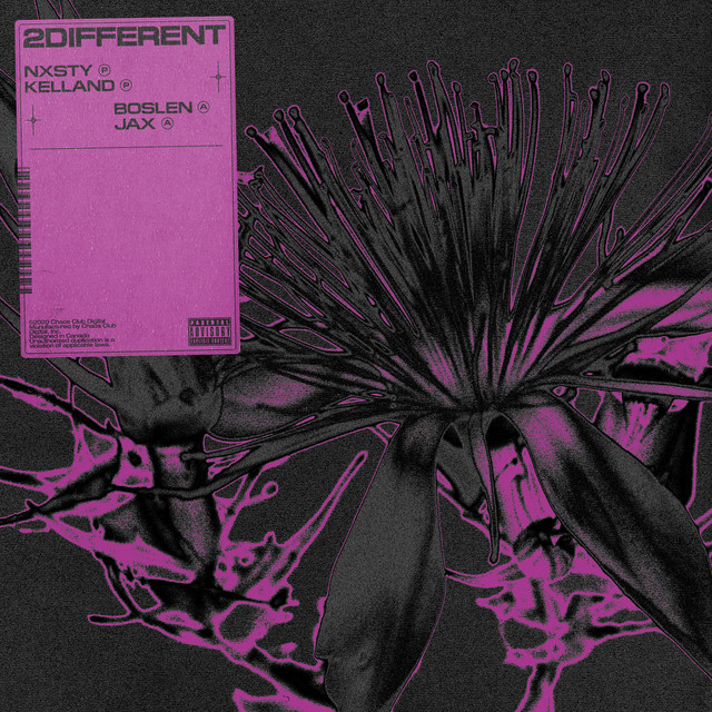 2Different cover art