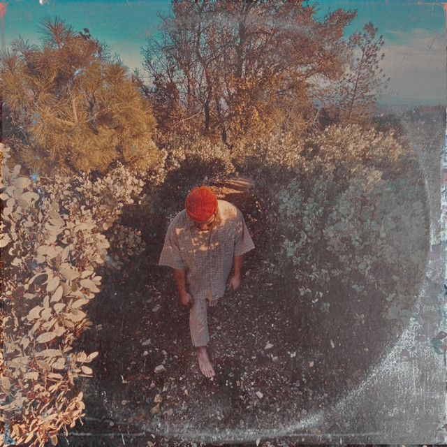 Prodigal cover art